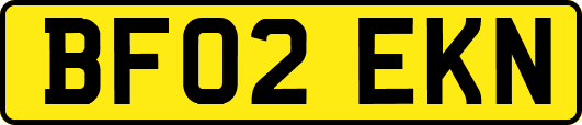 BF02EKN