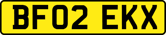 BF02EKX