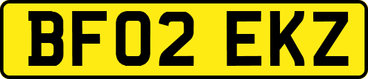 BF02EKZ