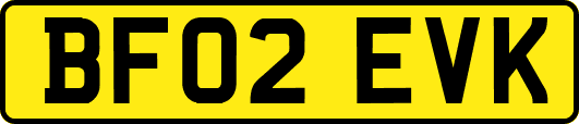 BF02EVK