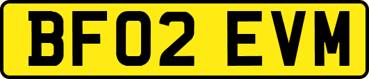 BF02EVM