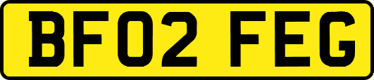 BF02FEG