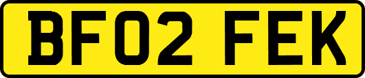 BF02FEK