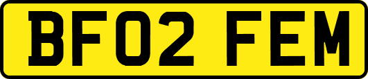 BF02FEM