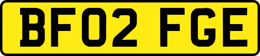 BF02FGE