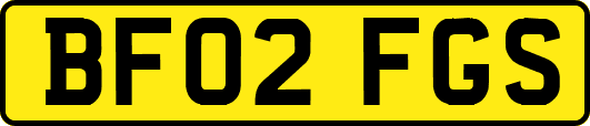 BF02FGS