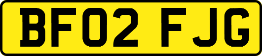 BF02FJG
