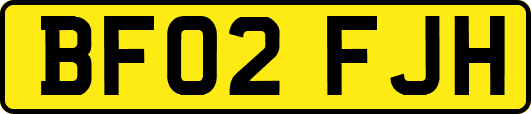 BF02FJH