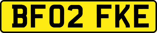BF02FKE