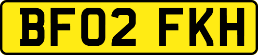 BF02FKH