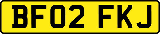 BF02FKJ