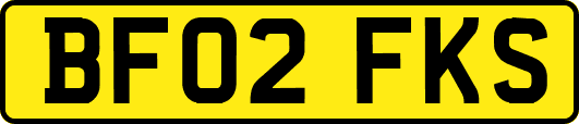 BF02FKS