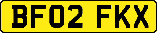 BF02FKX