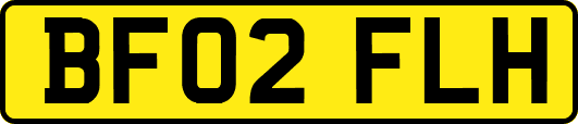 BF02FLH