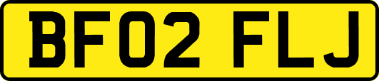 BF02FLJ