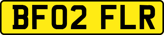 BF02FLR