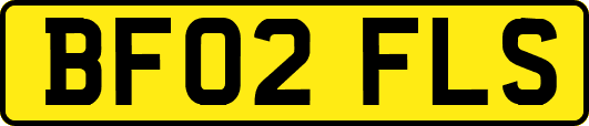 BF02FLS