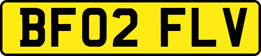 BF02FLV
