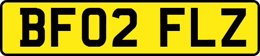 BF02FLZ