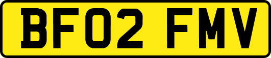 BF02FMV