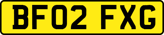 BF02FXG