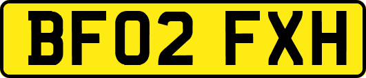BF02FXH