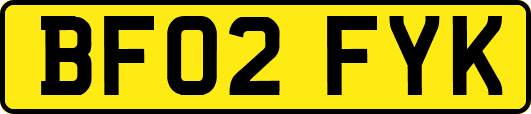 BF02FYK