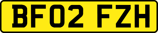 BF02FZH