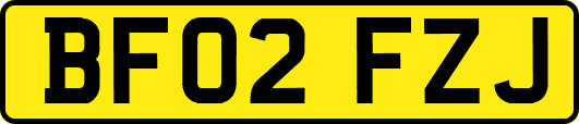BF02FZJ
