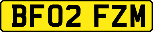 BF02FZM
