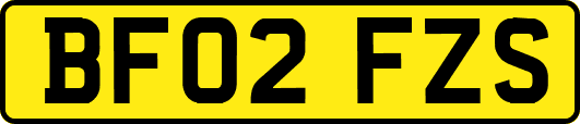 BF02FZS