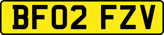 BF02FZV
