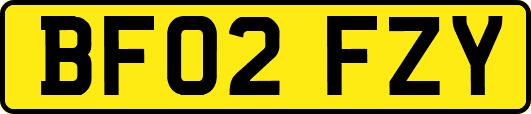 BF02FZY