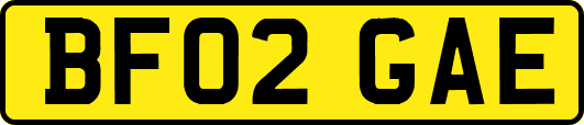BF02GAE