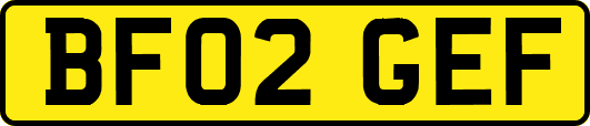 BF02GEF