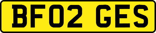 BF02GES