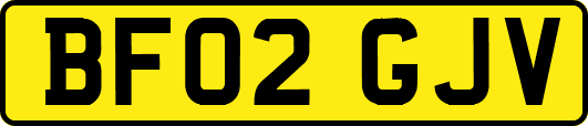 BF02GJV