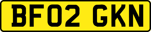 BF02GKN
