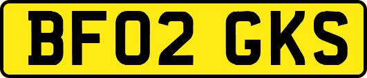 BF02GKS