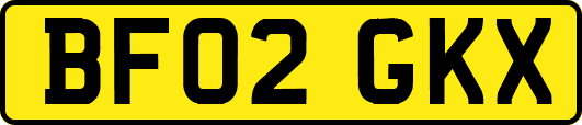 BF02GKX