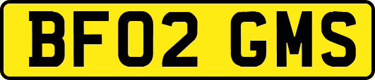 BF02GMS
