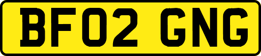 BF02GNG