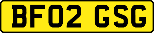 BF02GSG