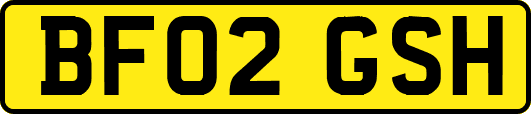 BF02GSH