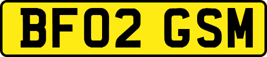 BF02GSM