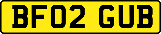 BF02GUB