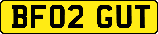 BF02GUT