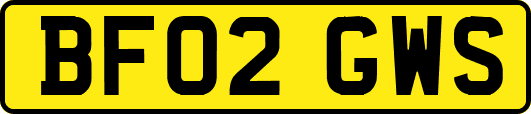BF02GWS