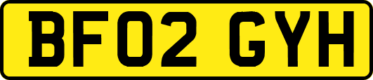 BF02GYH