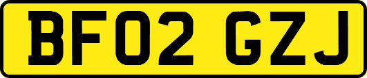BF02GZJ